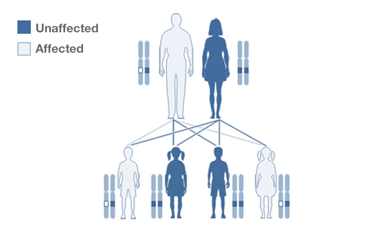 what is an example of a genetic disease