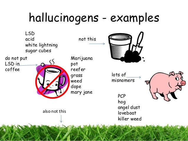 example of hallucinogenic drugs include what