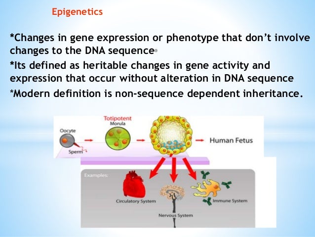 define gene expression and give an example