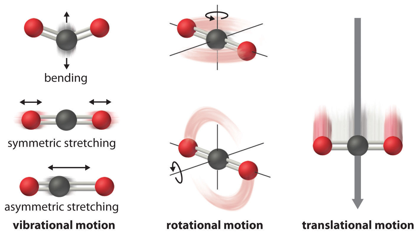 everyday example of angular momentum conservation