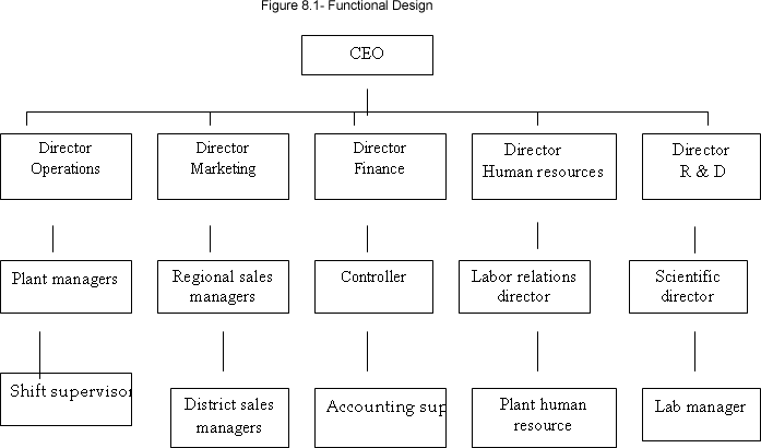 functional organizational structure example company