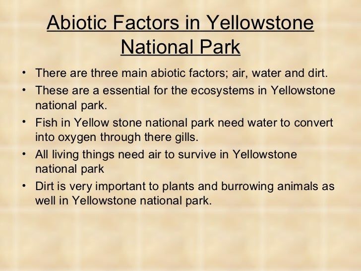 which of these is an example of the abiotic environment