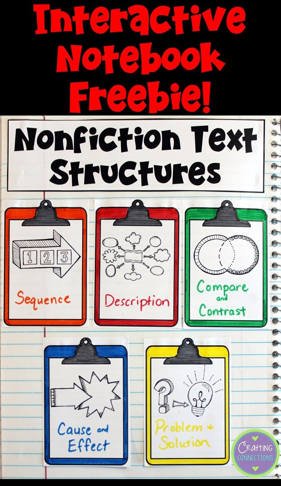 example information text bears for school