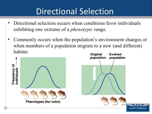 example of directional selection in humans