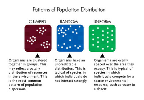 What Is A Spatial Pattern Ap Human Geography